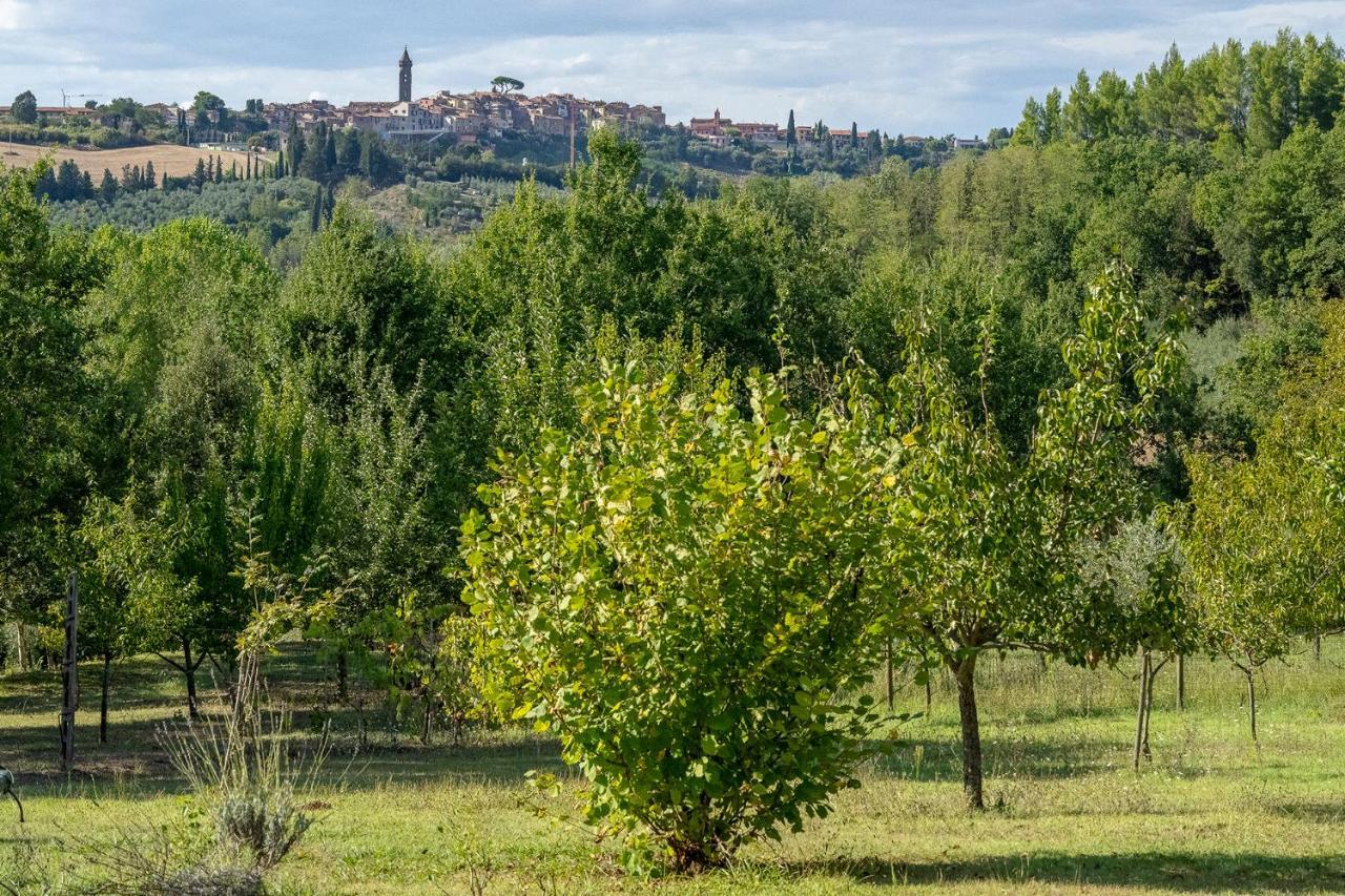 Agriturismo La Valle Peccioli ภายนอก รูปภาพ