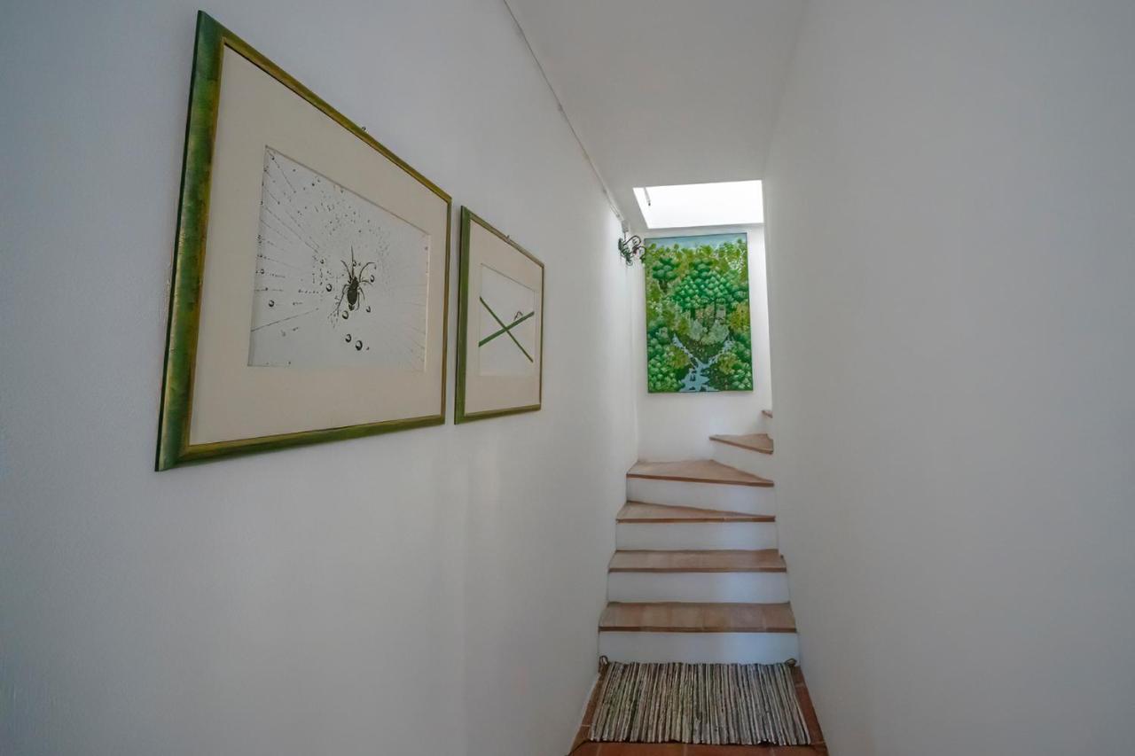 Agriturismo La Valle Peccioli ภายนอก รูปภาพ